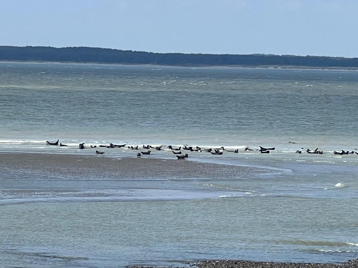 Plage A 50M Appartement Reves Tranquilles Villa Les Bains De Mers Buitenkant foto